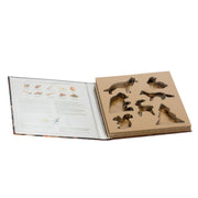 Kit de moldes de galletas infantiles de acero plateado