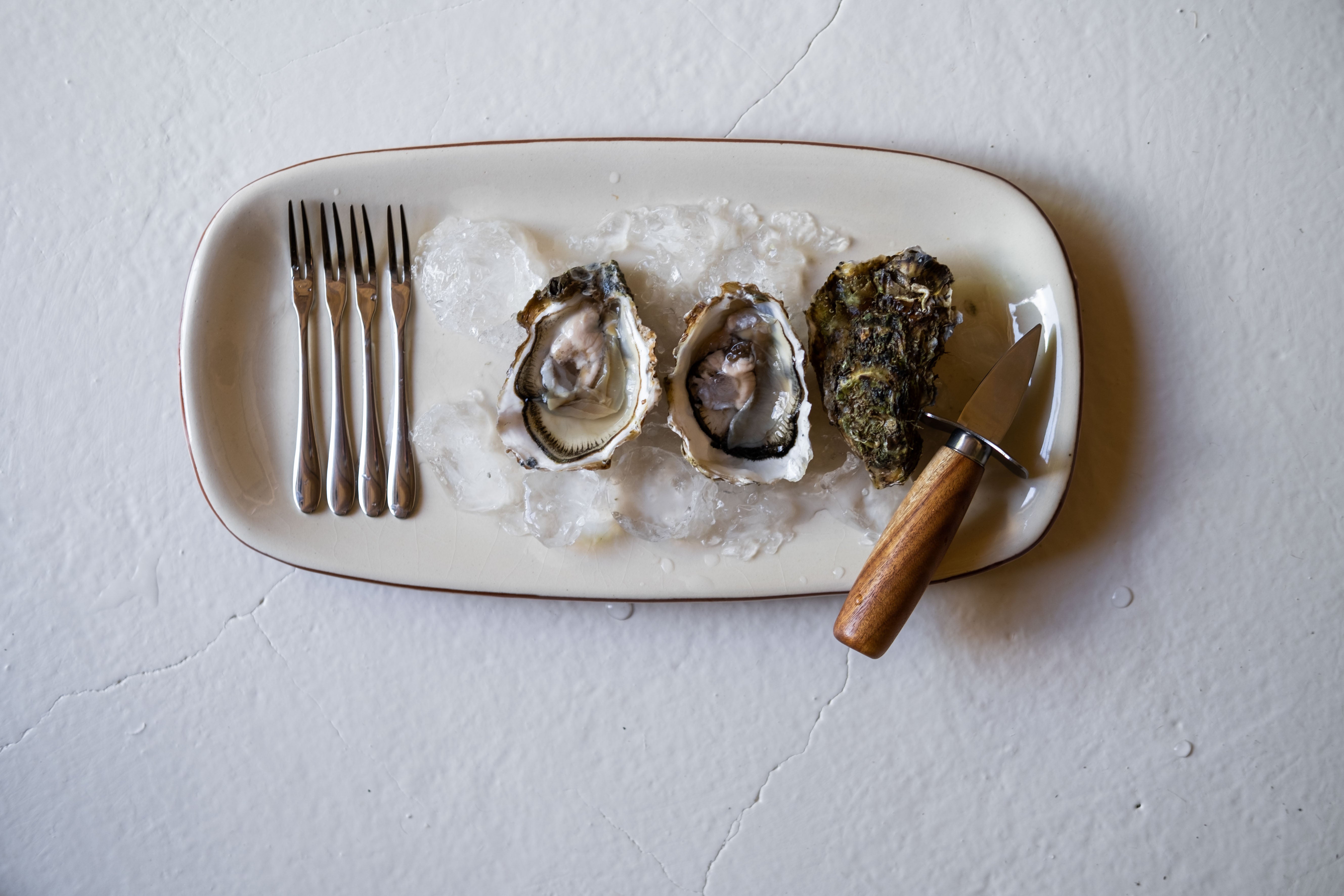 Set de 10 utensilios para marisco gourmet